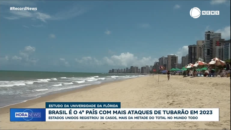 Vídeo: Brasil é o quarto país que mais registrou ataques de tubarão em 2023