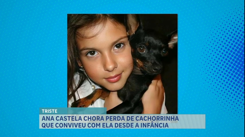 Vídeo: A Hora da Venenosa: cantora Ana Castela lamenta morte do seu cão nas redes sociais