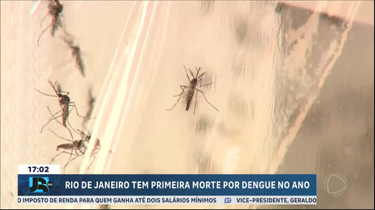 Vídeo: Cidade do Rio de Janeiro confirma a primeira morte por dengue no ano