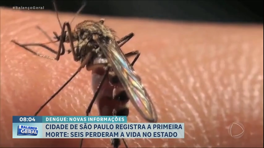 Vídeo: Cidade de São Paulo registra a primeira morte por dengue em 2024
