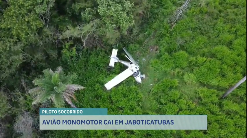 Vídeo: Corpo de Bombeiros resgata piloto de monomotor que caiu em MG