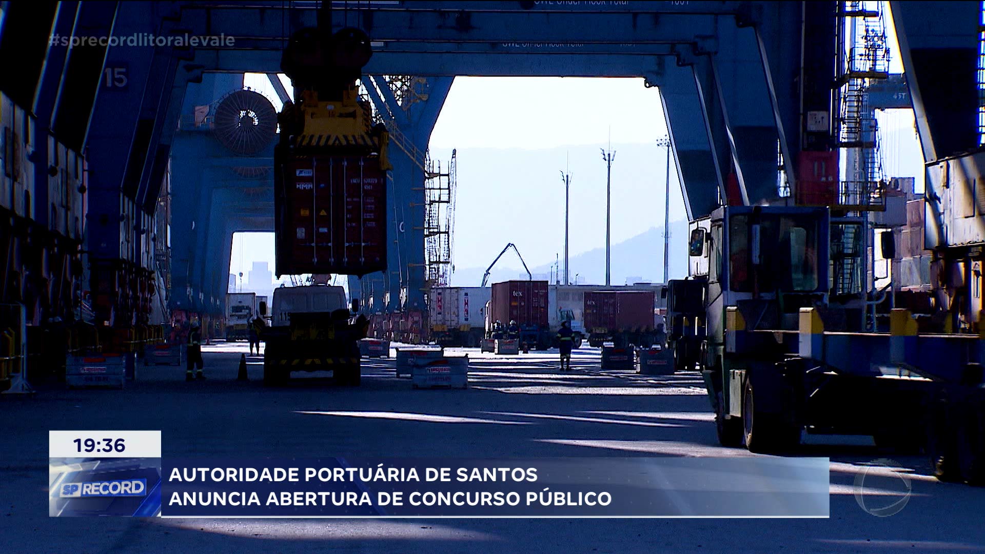 Vídeo: Oportunidade de trabalho no Porto