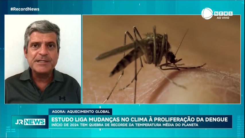 Vídeo: 'Só deve piorar': mudanças climáticas vão turbinar a proliferação da dengue, diz especialista