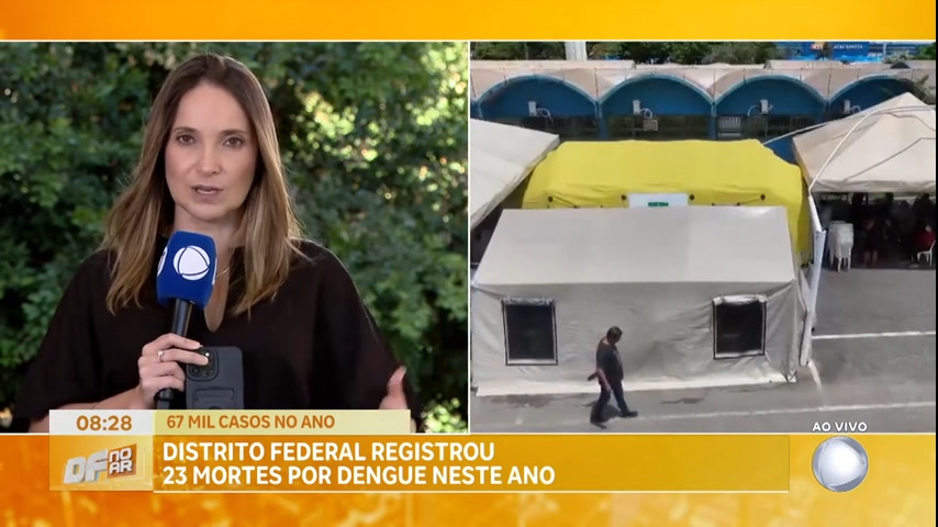 Vídeo: Distrito Federal registra 23 mortes por dengue em 2024