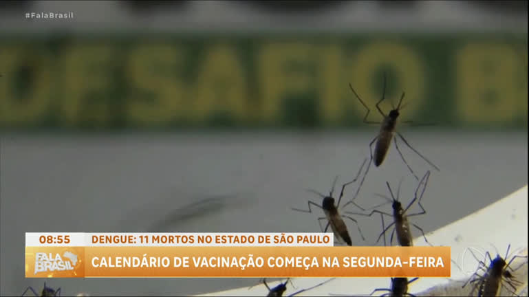 Vídeo: Sobe para 11 o número de mortos pela dengue em São Paulo