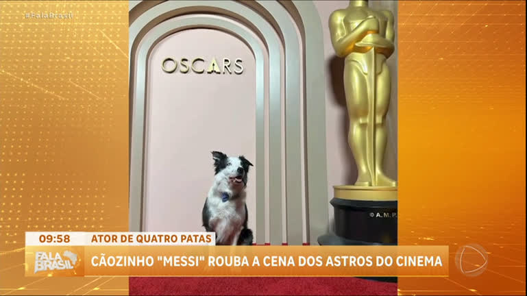 Vídeo: Cãozinho Messi rouba a cena dos astros de Hollywood