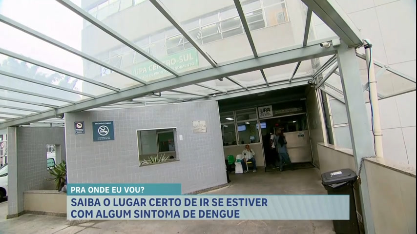 Vídeo: Especialista traz orientações para pessoas com sintomas de dengue em BH