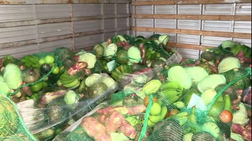 Vídeo: Projeto distribui cesta verde para famílias carentes do DF