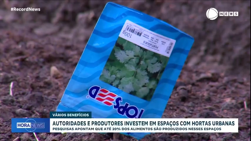 Vídeo: Entenda por que as hortas urbanas representam 20% dos alimentos consumidos no mundo