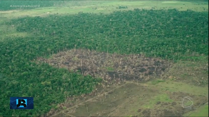 Vídeo: Minuto JR : Desmatamento na Amazônia registra queda de 60% em janeiro