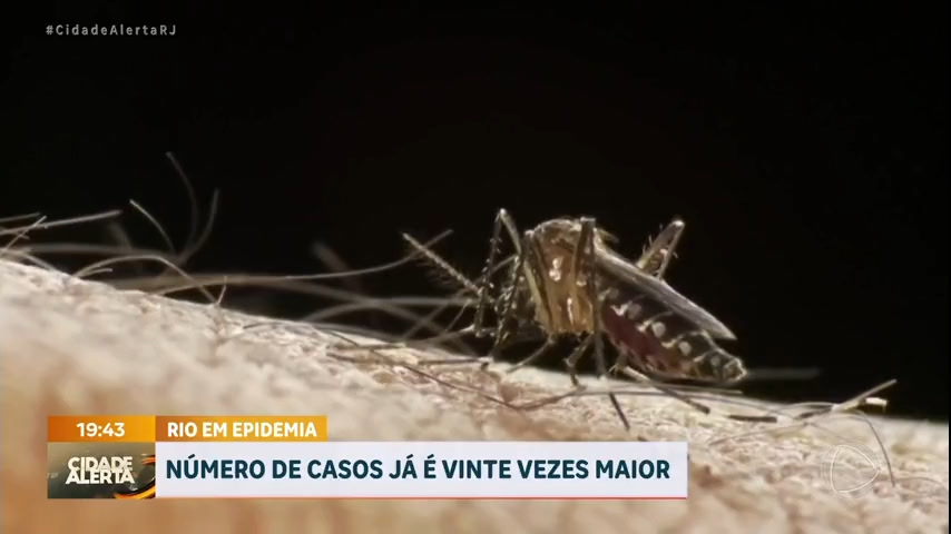Vídeo: Governo do Rio decreta epidemia de dengue no Estado