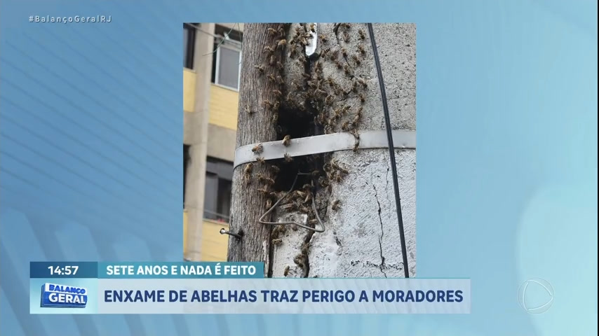 Vídeo: Moradores reclamam da presença de abelhas há 7 anos na zona norte do Rio