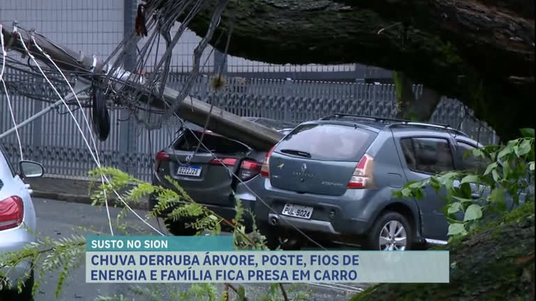 Vídeo: Família fica presa em carro após queda de árvore, poste e fiação, em BH