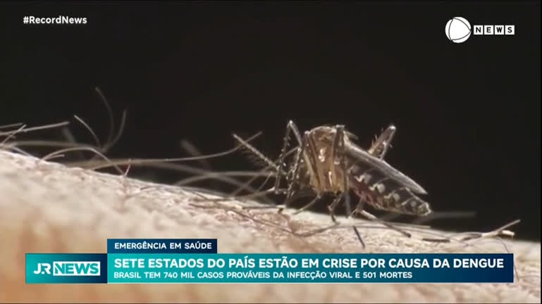 Vídeo: Sete estados do Brasil estão em crise devido à dengue