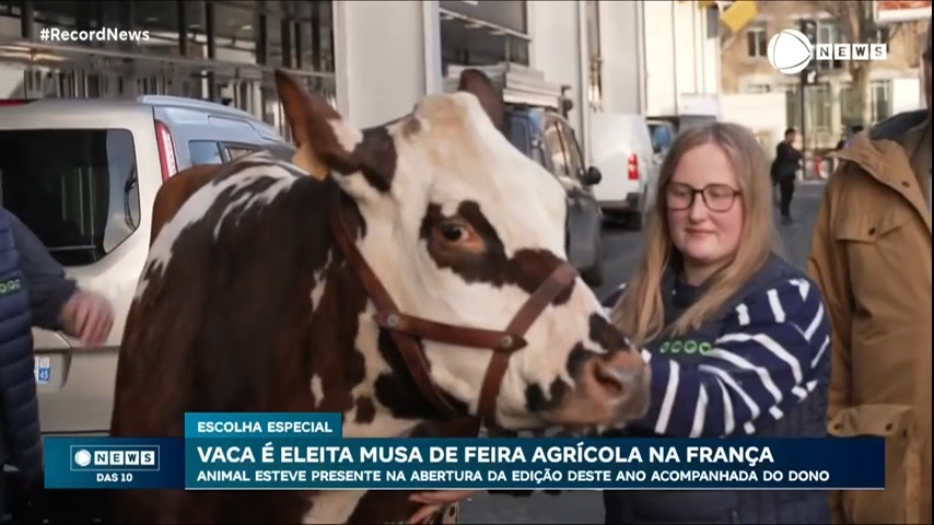 Vídeo: Vaca é eleita musa de feira agrícola na França