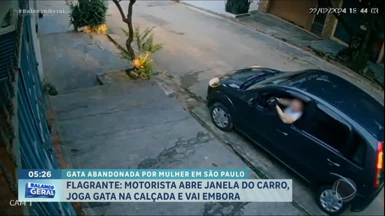 Vídeo: Flagrante: motorista abre janela de carro, abandona gata e vai embora