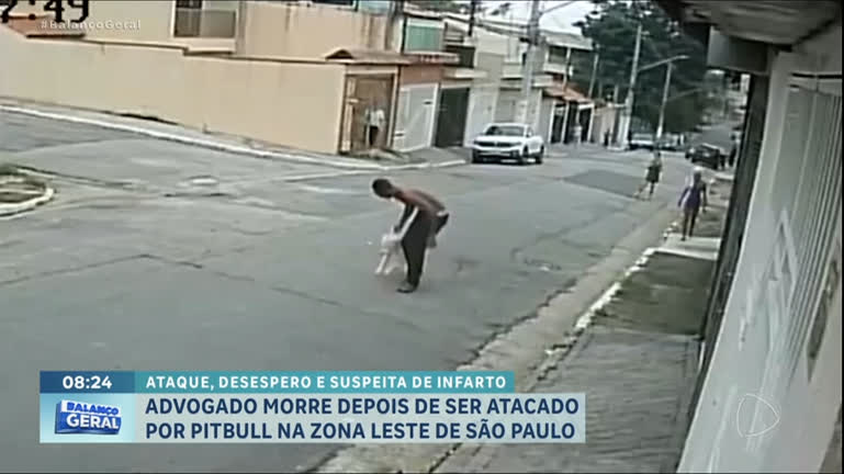 Vídeo: Advogado morre após ser atacado por pitbull em São Paulo