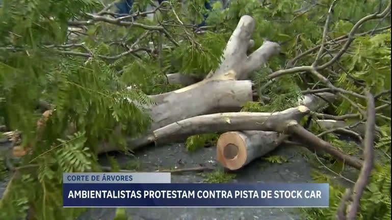 Vídeo: Prefeitura de BH iniciará plantio de árvores nesta sexta para compensar cortes para a Stock Car