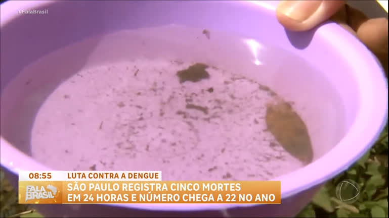 Vídeo: Cinco mortes por dengue são registradas em SP em 24 horas