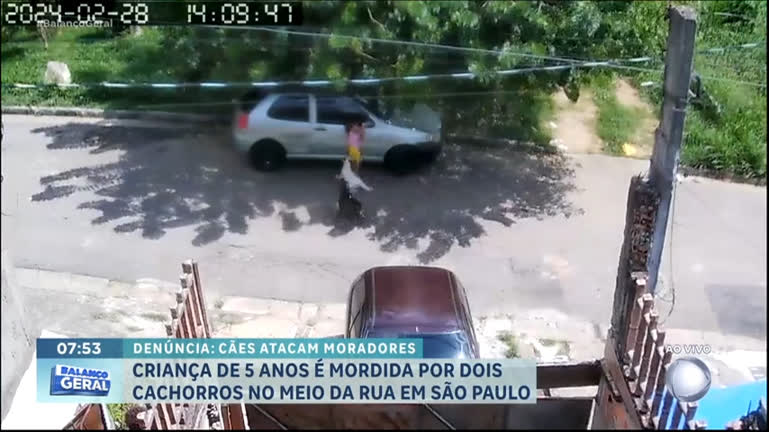 Vídeo: Menina de 5 anos é mordida por cães que escaparam de casa vizinha em SP