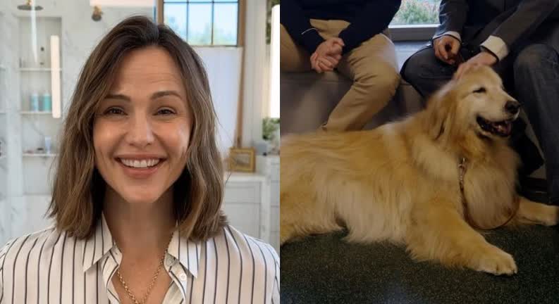 Vídeo: Conheça a cachorrinha-terapeuta de Jennifer Garner