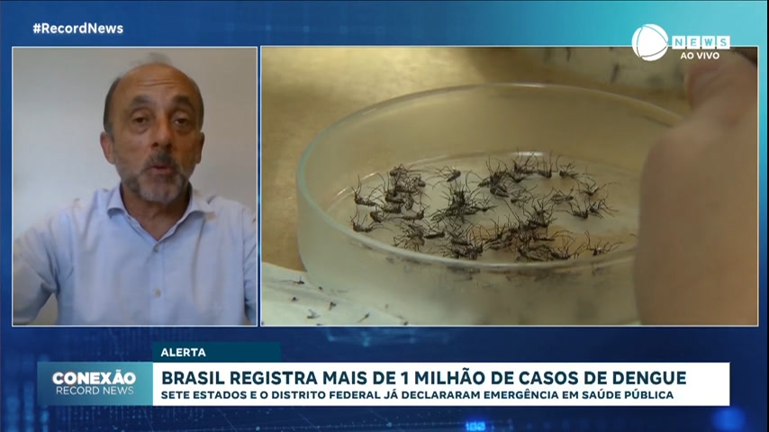 Vídeo: 'Até o final de abril, registraremos outro milhão de casos', alerta médico sobre avanço da dengue