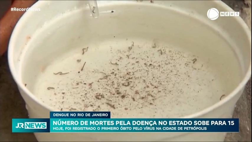 Vídeo: Sobe para 15 o número de mortes por dengue no Rio de Janeiro