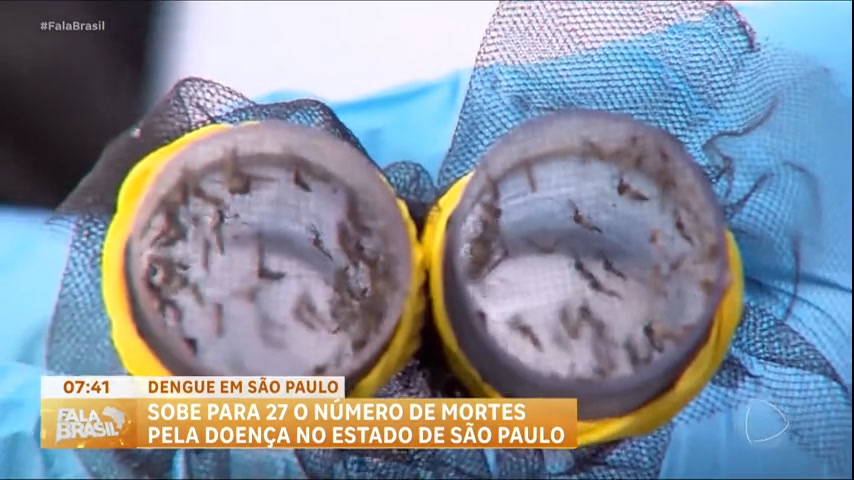 Vídeo: Sobe para 27 o número de mortes por dengue no estado de São Paulo