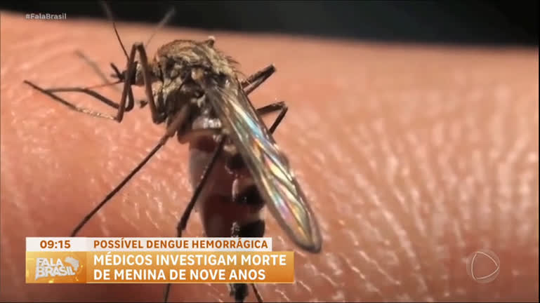 Menina de 9 anos morre e médicos suspeitam de dengue hemorrágica