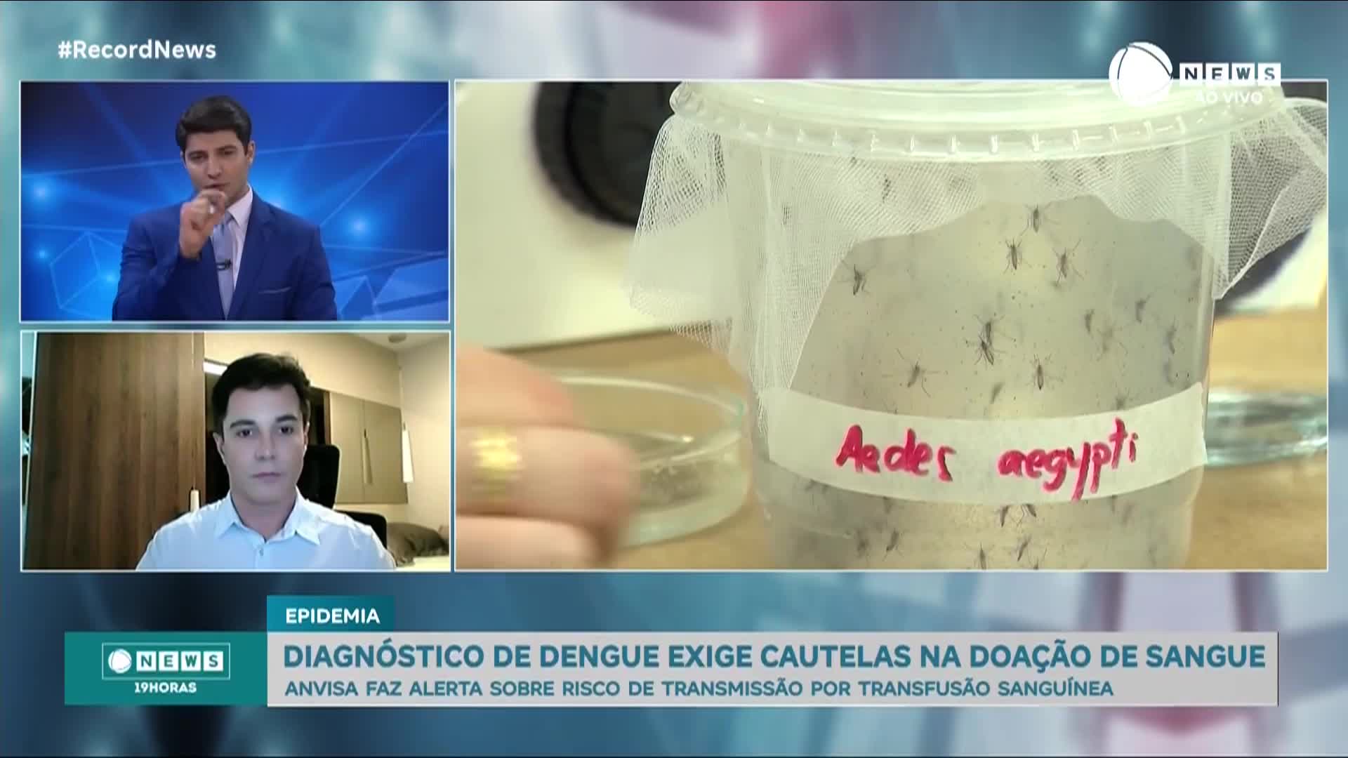 Vídeo: Dengue pode ser transmitida por relação sexual, afirma especialista da Anvisa
