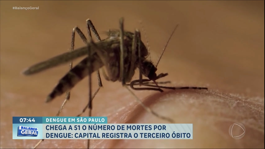Vídeo: Número de mortes por dengue chega a 51 no estado de SP