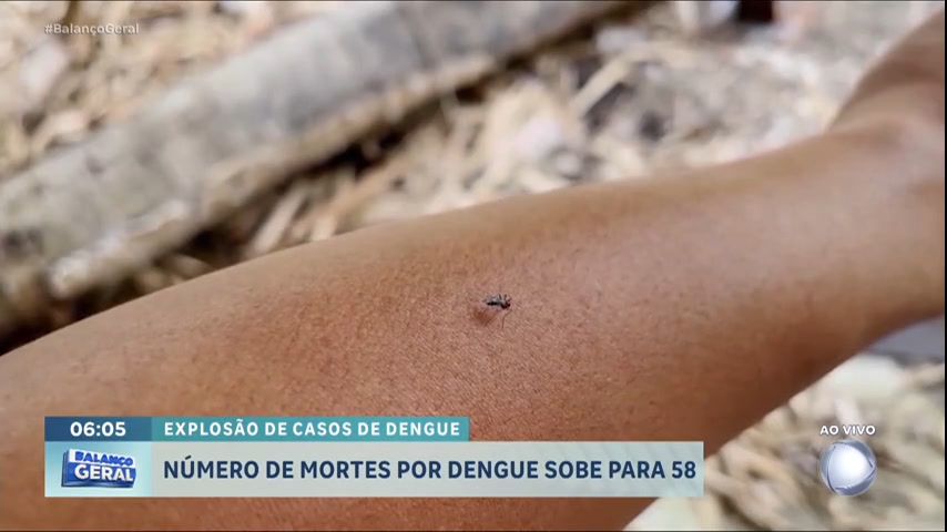 Vídeo: Sobe para 58 o número de mortes por dengue em SP