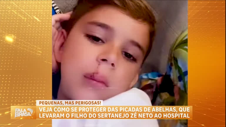 Vídeo: Picada de abelha leva filho do cantor Zé Neto ao hospital; saiba como se proteger