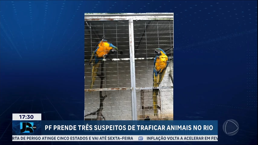 Vídeo: PF prende três suspeitos de traficar animais no Rio de Janeiro