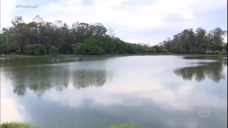 Vídeo: Parque Ibirapuera será privatizado em 2019