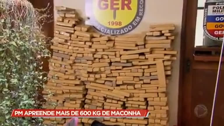 Vídeo: Polícia apreende 600 kg de maconha em Contagem (MG)