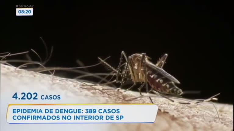 Vídeo: Epidemia de dengue assusta moradores do interior de São Paulo