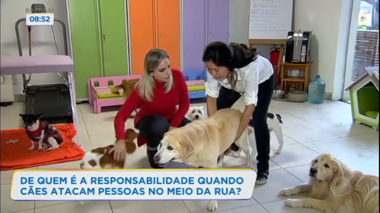 Vídeo: Especialista mostra técnica para acalmar cão durante um ataque