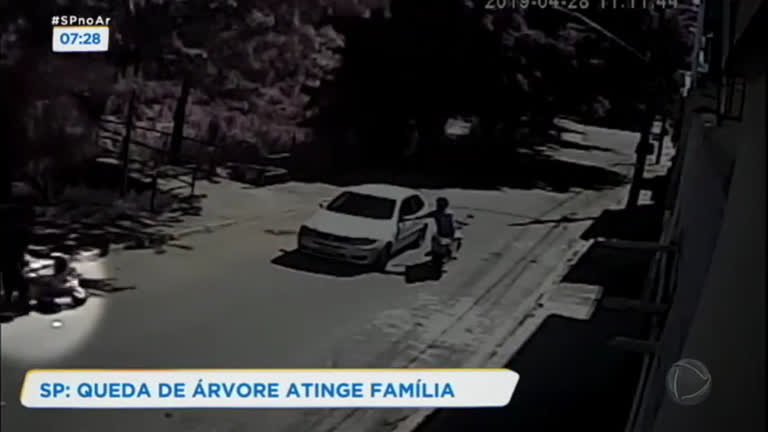 Vídeo: Família é atingida por árvore enquanto caminhava pela rua