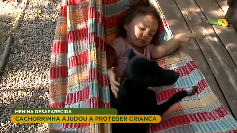 Vídeo: Cachorra protege criança desaparecida em Santa Catarina