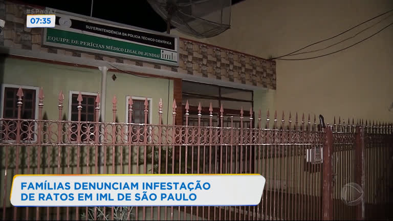 Vídeo: Moradores denunciam infestação de ratos no IML de Jundiaí (SP)