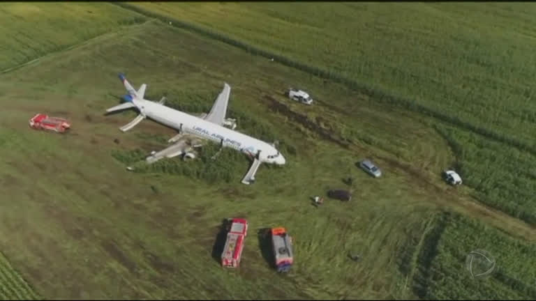 Vídeo: Avião faz pouso de emergência após colisão com revoada de pássaros na Rússia