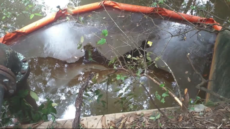 Vídeo: Vazamento de óleo na Refinaria Abreu e Lima atinge área de mangue