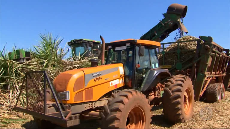 Vídeo: Brasil aumenta limite de etanol que pode ser importado com isenção de tarifa