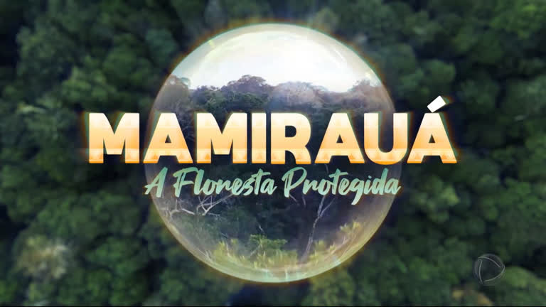 Vídeo: Mamirauá: material arqueológico revela ocupações passadas da floresta