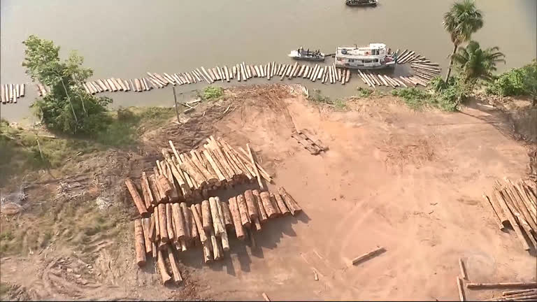 Vídeo: Exército apreende grande quantidade de madeira no Pará