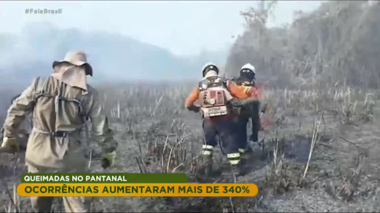 Vídeo: Forças Armadas prendem 63 pessoas por queimadas na Amazônia