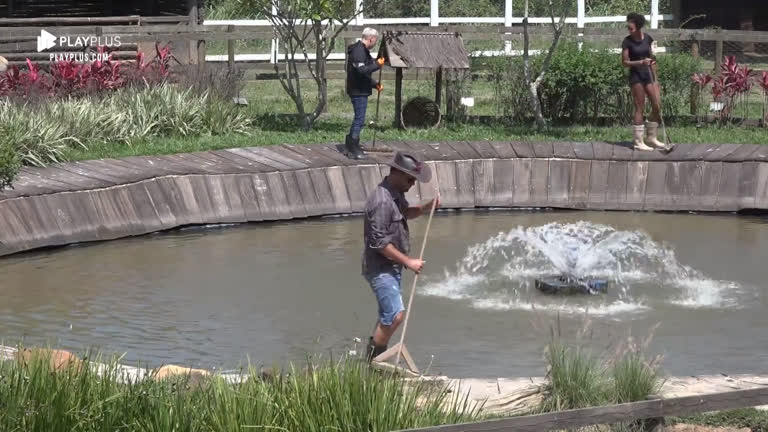 Vídeo: Rodrigo, Viny e Sabrina dão duro para limpar lago dos gansos