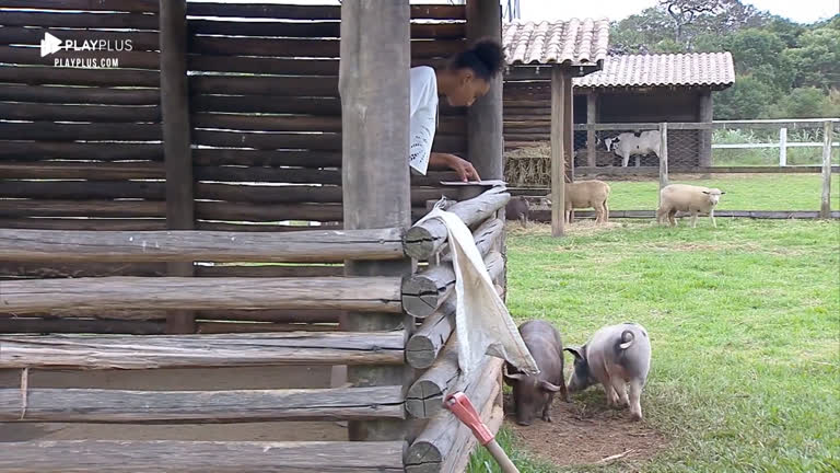 Vídeo: Sabrina Paiva cuida do chiqueiro enquanto porcos brincam