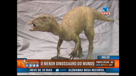 Cientistas americanos identificam menor dinossauro do mundo - Record ...